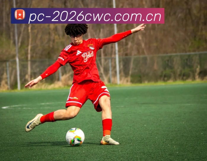 FIFA 官方数据授权认证